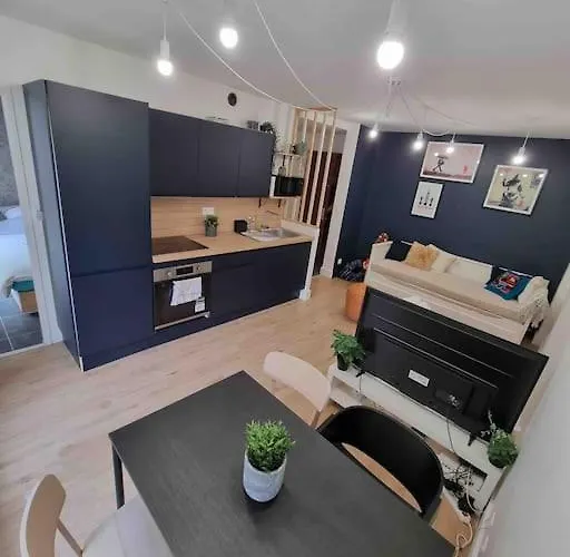 Appartement Le Bon Quai Grenoble